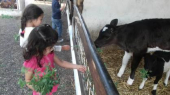  - Granja Zavaleta
