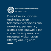  - Global Telecomunication Group