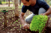  - Bioinsumos Agrotic