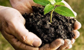  - Bioinsumos Agrotic