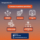  - Perspectiva Pro