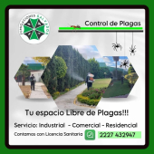  - Fumigaciones Salvador