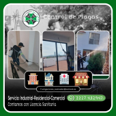  - Fumigaciones Salvador