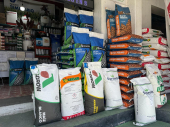  - La Hortaliza Semillas de Calidad