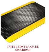  - Tapetes Sanitizantes en Puebla