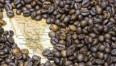  - Cafiara café