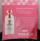  - DON MACLOVIO
