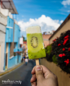  - México Lindo Heladería Gourmet Mexicana