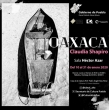 Oaxaca de Claudia Shapiro - Exposición