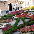 Tapete Floral Monumental de Primavera en Atlixco