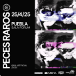 Peces Raros en Puebla
