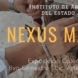 Nexus Matérico - Exposición