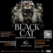 The Black Cat - Obra de Teatro
