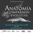 Anatomía Comparada y Evolutiva - Exposición Temporal