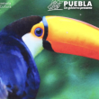  Líneas y Patrones encuentro con las texturas - Exposición temporal