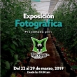Exposición Fotográfica en El Paseo Tehuacán