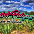 La Feria del Pulque en Puebla