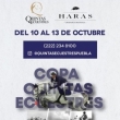 Copa Quintas Ecuestres en Haras