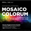 Mosaico Colorum - Exposición Temporal