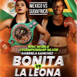Función de Box México VS Sudafrica en Puebla