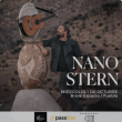 Nano Stern en Puebla