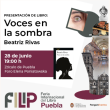 Presentación de Libro: Voces en la Sombra
