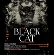 The Black Cat - Cuentos para No Dormir