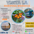 Visita la mariposa monarca - Excursión 