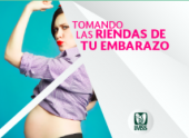 Tomando Las Riendas de tu Embarazo - Curso Online