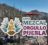 Fiesta del Mezcal en Puebla 2023