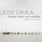 José Dávila Pensar como una Montaña - Exposición