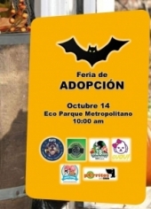 Feria De Adopción y Concurso de Disfraces en Ecoparque Metropolitano