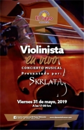 Violinista en Vivo en El Paseo Tehuacán