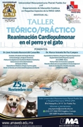 Reanimación Cardiopulmonar en el Perro y el Gato - Curso en UMA