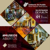 Artificio y Mímesis - Octavio Nieto - Museo José Luis Bello y González