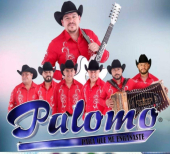 Grupo Palomo - Baile