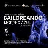 Danza Contemporánea Bailoreando Morpho Azul