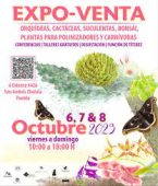 Naturailesa - Expo Venta en Puebla