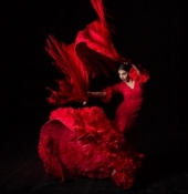 Flamenco con Bárbara Bretón