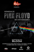 Homenaje a Pink Floyd en Puebla 