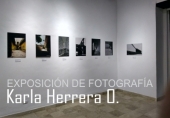 Galería de Arte Ana Sofía - Exposición Permanente