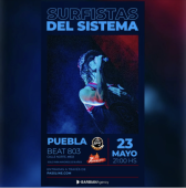 Surfistas del Sistema en Puebla