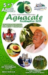 Expo Feria del Aguacate en Tochimilco