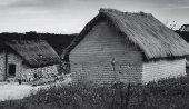 Casas Acariciadoras - Exposición