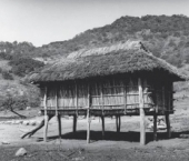 Casas Acariciadoras - Exposición