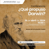 ¿Qué propuso Darwin?