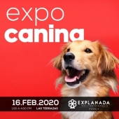 Expo Canina 