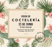 Coctelería - Curso en María Reyna Gastronomía