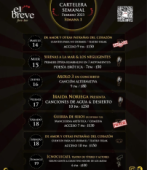 Cartelera Breve Espacio Puebla 