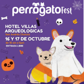 Perro-Gato Fest Edición Halloween